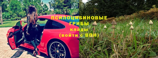 СК Вязьма