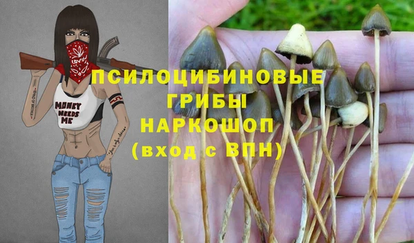 дживик Вяземский
