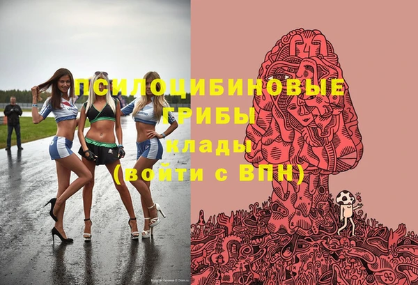 СК Вязьма