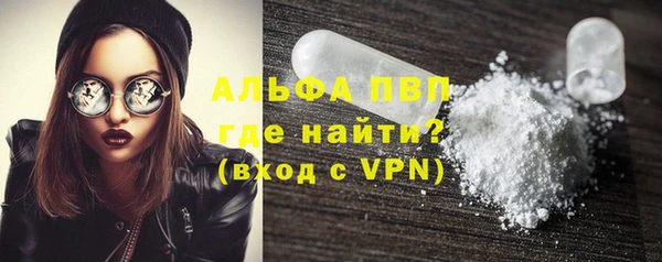 СК Вязьма