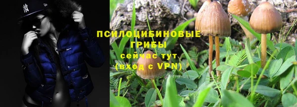 дживик Вяземский
