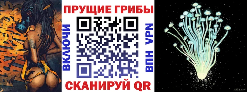 Купить  Абакан  Галлюциногенные грибы мухоморы 